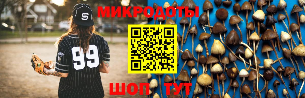Галлюциногенные грибы прущие грибы  Псилоцибиновые грибы Psilocybe  наркотики  Вход с VPN  Егорьевск 
